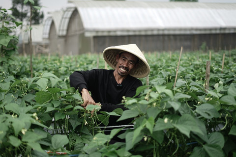 Dompet Dhuafa membangun greenhouse, bentuk pengembangan wakaf pertanian. Foto: dok. Dompet Dhuafa. 