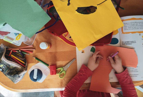 Ilustrasi Modul Ajar Tema Binatang  Sumber Unsplash/Sigmund