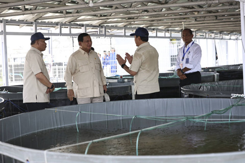 Prabowo kunjungi tambak ikan nila salin di Karawang, Senin (2/12/2024). Foto: Dok. Tim Prabowo Subianto
