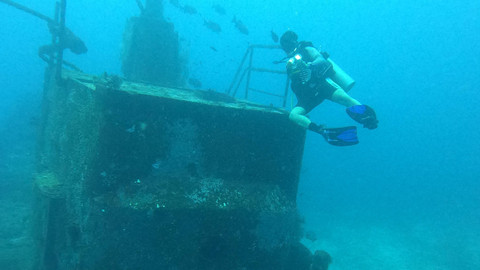 Ilustrasi menyelam di Teluk Saleh. Foto: Mamatbimo/Shutterstock