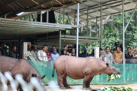 Menteri Kehutanan (Menhut) kunjungi Suaka Rhino Sumatera (SRS) di Taman Nasional Way Kambas (TNWK). | Foto: Sinta Yuliana/Lampung Geh