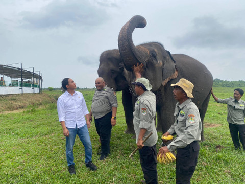 Menteri Kehutanan (Menhut) Raja Juli Antoni mengunjungi Taman Nasional Way Kambas (TNWK). | Foto : Sinta Yuliana/Lampung Geh