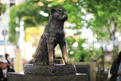 Patung Hachiko di Shibuya, Jepang. Foto: Shutterstock