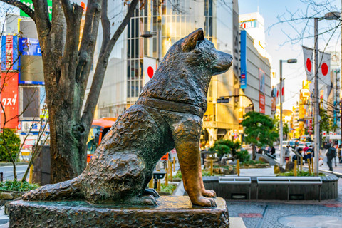 Patung Hachiko di Shibuya, Jepang. Foto: Shutterstock