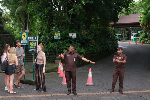 Petugas keamanan berjaga di depan pintu masuk objek wisata Monkey Forest pasca-terjadinya pohon tumbang yang menimpa sejumlah wisatawan di Ubud, Gianyar, Bali, Rabu (11/12/2024). Foto: Nyoman Hendra Wibowo/ANTARA FOTO