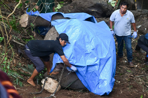 Petugas melakukan evakuasi seekor gajah sumatera (Elephas maximus sumatranus) koleksi Bali Zoo yang ditemukan mati di kawasan Sungai Cengceng, Desa Guwang, Gianyar, Bali, Selasa (17/12/2024). Foto: Fikri Yusuf/ANTARA FOTO