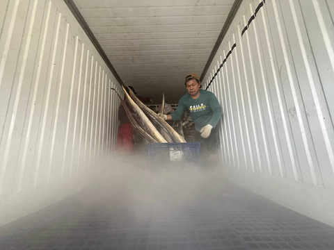 Pekera memasukan Ikan Cakalang ke dalam truk saat akan dikirim ke Jakarta di TPI Karangsong Indramayu, (26/12/2024).  Foto: Dok. kumparan