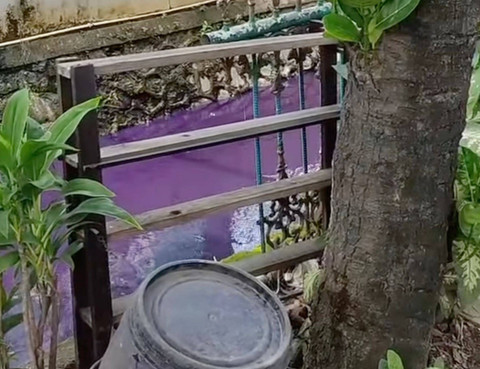 Tangkapan layar video kali di Perumahan Bukit Tiara Tangerang yang airnya berwarna ungu. Dok: Instagram @cikupaupdate