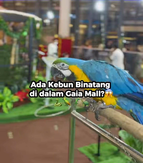 Jungle Zoo, tempat rekreasi kebun binatang di Gaia Mall Bumi Raya City, Kubu Raya, Kalbar. Foto: Dok. Instagram @gaiabumirayacity