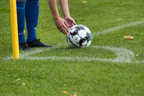 Ilustrasi link dan cara nonton live streaming venezia vs empoli - Sumber: pixabay.com/planet_fox