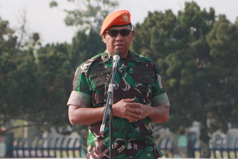 Marsekal Pertama TNI Deny Muis. Foto: kopasgat.tni-au