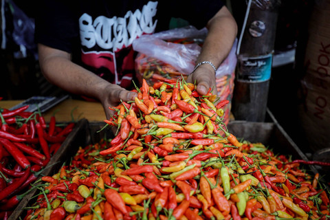 Pedagang menata cabai rawit di Pasar Senen, Jakarta, Selasa (7/1/2025). Foto: Jamal Ramadhan/kumparan