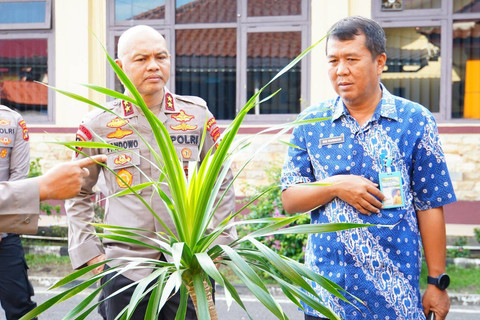 Bunga langka mirip Udumbara tumbuh di Mapolda Babel, Kamis (9/1/2025). Foto: kumparan