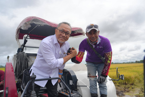 Menko Pangan Zulkifli Hasan panen padi di Banyuasin. Foto: Kemenko Pangan