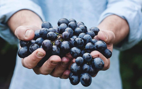 Ilustrasi Buah Khas Imlek   Sumber Unsplash/Maja Petric