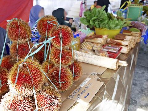 Ilustrasi durian lahung. Foto: Shutterstock