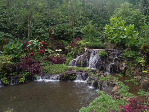 Mata air di Green Paradise/Anyelir