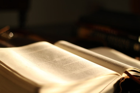   Ilustrasi Jenis Kalimat Majemuk. Sumber: Unsplash/Brody Childs