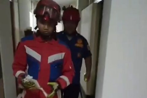 Damkar selamatkan kucing di balkon gedung di Jakarta Pusat, Senin (20/1/2025). Foto: Instagram/@humasjakfire