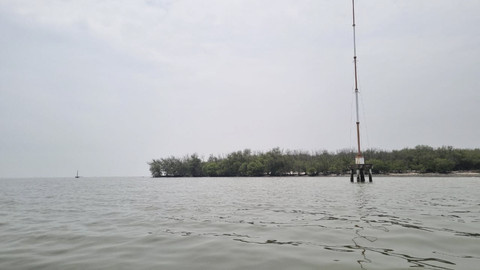 Lokasi HGB di perairan Desa Segoro Tambak, Kecamatan Sedati, Kabupaten Sidoarjo, Rabu (22/1/2025). Foto: Farusma Okta Verdian/kumparan