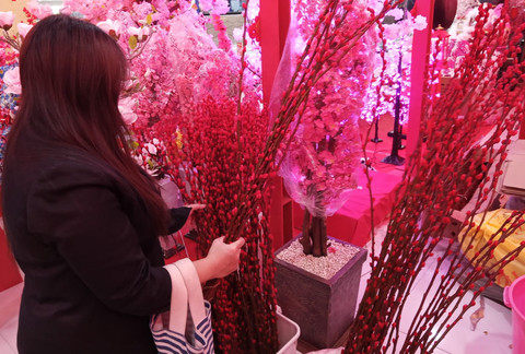 Mengenal Pussy Willow, Bunga Wajib Ada saat Imlek yang Dipercaya Membawa Hoki