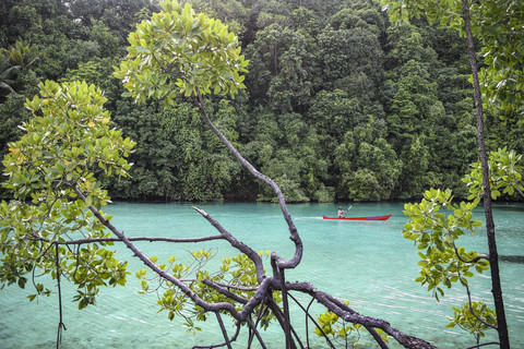Pengunjung mendayung perahu saat berkunjung di Laguna Kehe Daing, Pulau Kakaban, Berau, Kalimantan Timur. Foto: M Risyal Hidayat/ANTARA FOTO