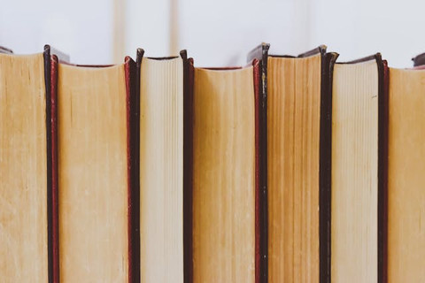 Ilustrasi buku di perpustakaan perguruan tinggi. Sumber: Pexels