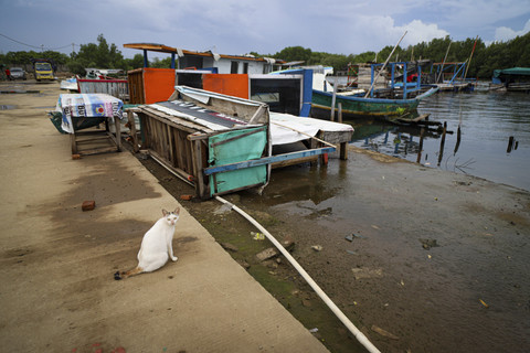 Kawasan pemukiman di dekat lokasi pagar laut. Foto: Iqbal Firdaus/kumparan
