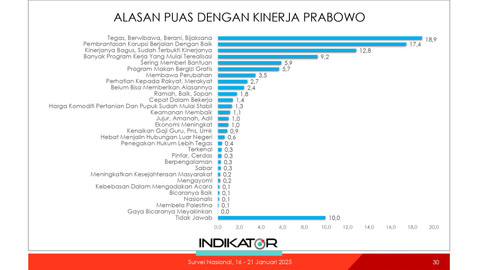 Survei kinerja Presiden Prabowo Subianto. Foto: Indikator Politik Indonesia