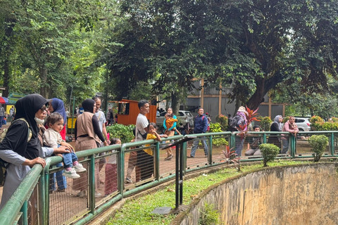 Sejumlah pengunjung di Taman Marga Satwa Ragunan, Jakarta, Senin (27/1/2025). Foto: Luthfi Humam/kumparan