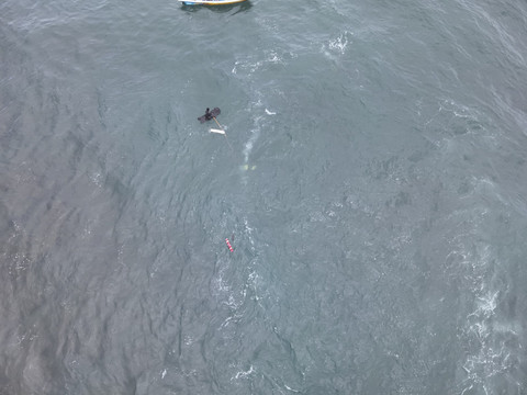 Tim SAR Gabungan mencari satu korban terseret arus di Pantai Drini, Selasa (28/1/2025). Foto: Dok. Basarnas