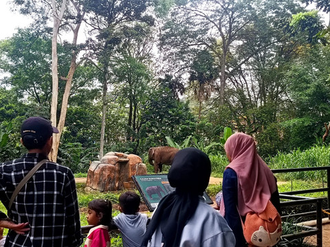 Suasana Bandung Zoo pada Rabu (29/1).  Foto: Robby Bouceu/kumparan