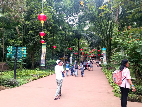 Pengunjung Bandung Zoo memberi makan rusa, Rabu (29/1). Foto: Robby Bouceu/kumparan
