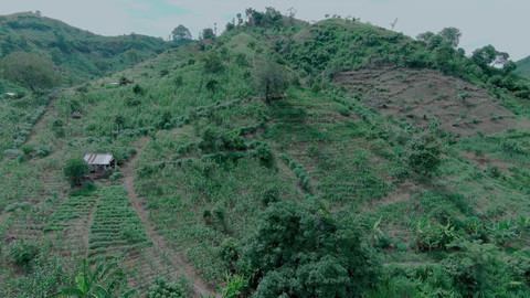 Perbukitan Patiayam di Kudus, Jawa Tengah, mulai menghijau. Foto: Youtube/ Siapdarling