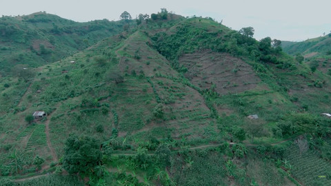 Perbukitan Patiayam di Kudus, Jawa Tengah, mulai menghijau. Foto: Youtube/ Siapdarling