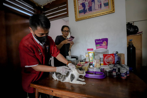 Petugas dari Suku Dinas Ketahanan Pangan, Kelautan, dan Pertanian (Sudin KPKP) Jakarta Pusat melakukan vaksinasi rabies bagi hewan peliharaan di kawasan Kebon Kacang, Jakarta, Rabu (5/2/2025). Foto: Jamal Ramadhan/kumparan