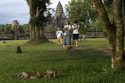 Para turis sedang mengamati monyet-monyet kera di kompleks candi Angkor Wat, sebuah Situs Warisan Dunia UNESCO, di provinsi Siem Reap, Kamboja. Foto: Tang Chhin Sothy/AFP