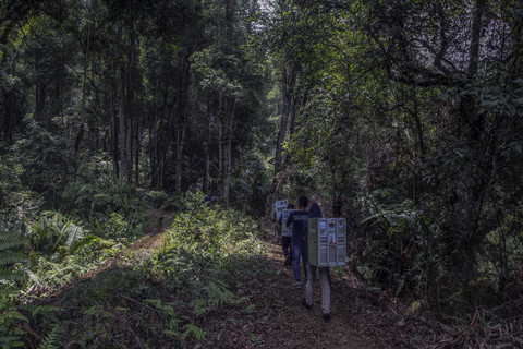 Perjalanan Menuju Pelepasliaran: Petugas membawa kandang berisi primata Kukang Jawa (Nycticebus Javanicus) menuju kawasan habituasi sebelum pelepasliaran kembali ke habitat. Foto: Yulius Satria Wijaya/ANTARA FOTO