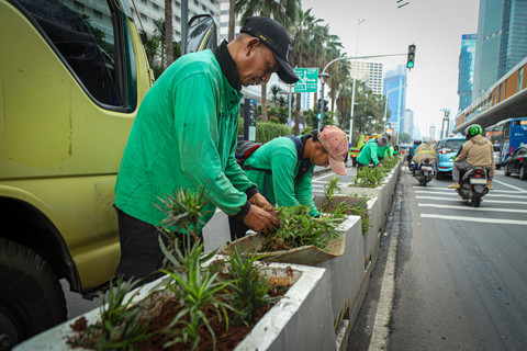 Dinas Pertamanan dan Hutan Kota DKI Jakarta menanamkan tanaman hias di sepanjang jalur pedestrian di kawasan MH Thamrin, Jakarta, Selasa (18/2/2025). Foto: Iqbal Firdaus/kumparan
