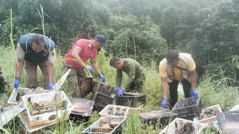 Penyelundupan ratusan burung digagalkan di Pelabuhan Bakauheni, Lampung Selatan. | Foto: Dok Karantina Lampung