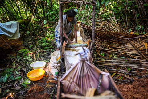 Pemuatan Sagu: Seorang Suku Tehit membuat sagu di Kampung Sira, Kabupaten Sorong Selatan, Papua Barat Daya. Foto: ANTARA FOTO/Rivan Awal Lingga