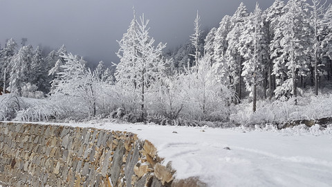  Ilustrasi desa bersalju. Foto: Shutterstock