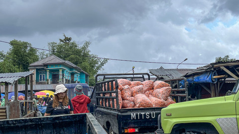 Wortel Berastagi siap didistribusikan di Kabupaten Tanah Karo, Sumut, Sabtu (1/3). Foto: Tri Vosa/kumparan