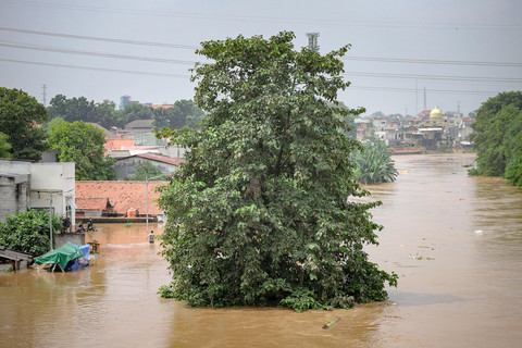 Banjir akibat luapan Sungai Ciliwung masih merendam permukiman warga di Kelurahan Rawajati, Pancoran, Jakarta Selatan, Selasa (4/3). Foto: Jamal Ramadhan/kumparan