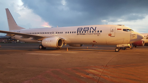 Blue Bird Nordic. Foto: AETalaksoru/Shutterstock