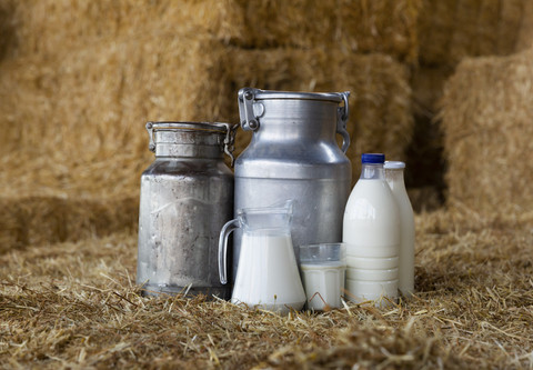Ilustrasi susu. Foto: BearFotos/Shutterstock