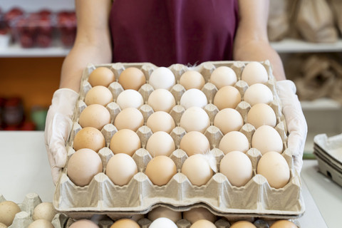 Penjual Telur Ayam. Foto: Alex Desanshe/Shutterstock