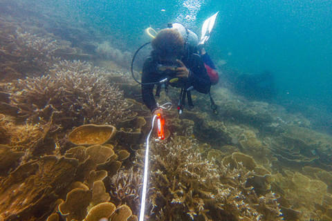 Mengukur Terumbu Karang: Ketua Jaringan Daerah Perlindungan Laut Berbasis Masyarakat (DPL-BM) Pulau Tidung Lahmanudin Jordy alias Limbad mengukur tutupan terumbu karang di dalam perairan Pulau Tidung, Jakarta.