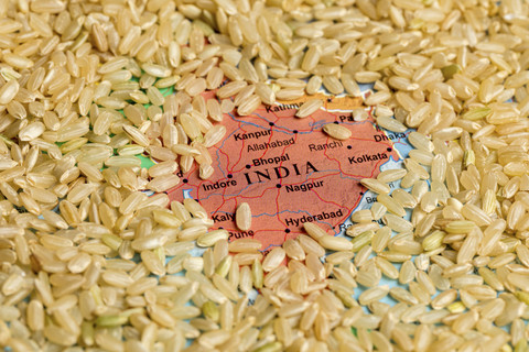Ilustrasi beras India. Foto: J.J. Gouin/Shutterstock