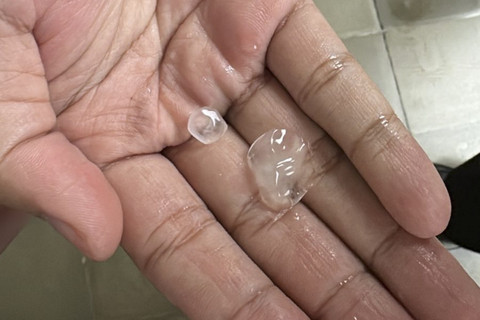 Hujan es turun di kampus UGM, Bulaksumur, Depok, Kabupaten Sleman, Selasa (11/3/2025). Foto: Dok Astri